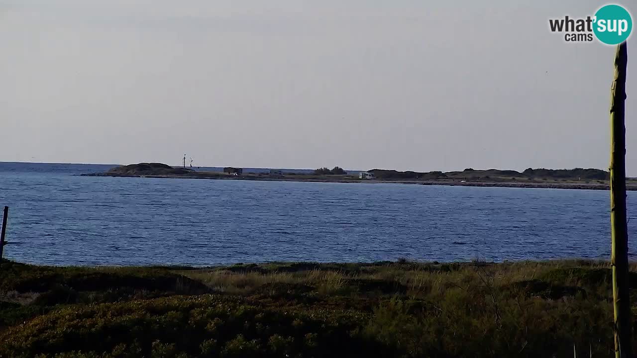 Is Arutas webcam beach | Oristano – Sardinia