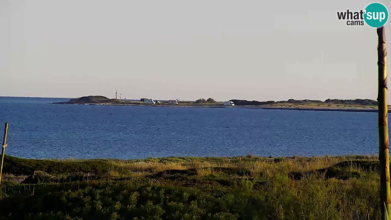 Is Arutas webcam beach | Oristano – Sardinia