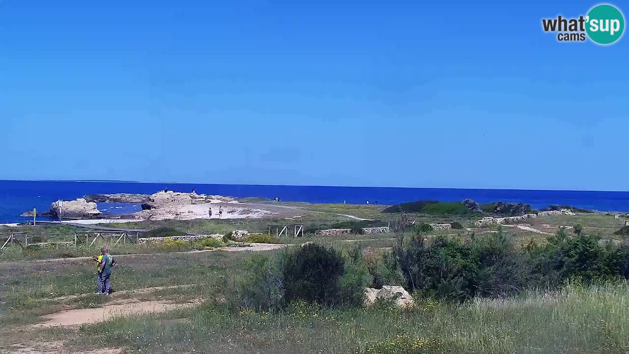 Webcam Is Arutas spiaggia | Oristano – Sardegna