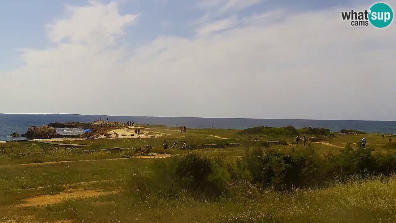Is Arutas camera en vivo | Oristano – Cerdeña