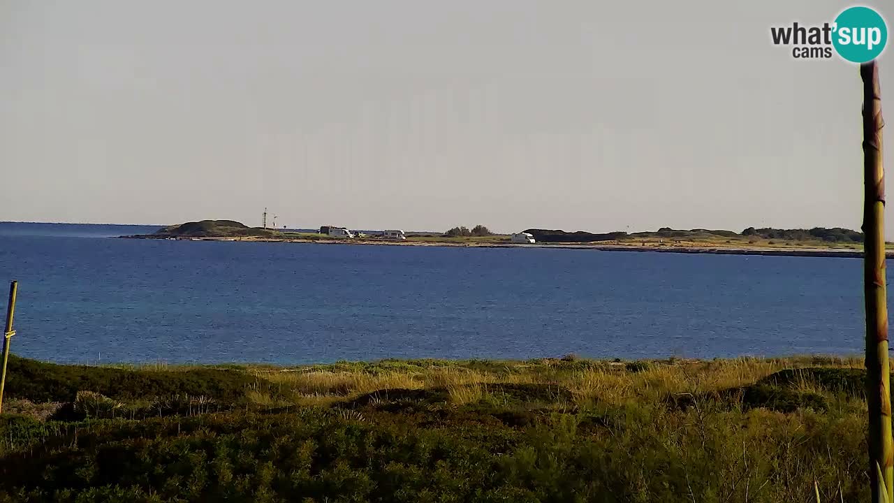 Is Arutas camera en vivo | Oristano – Cerdeña