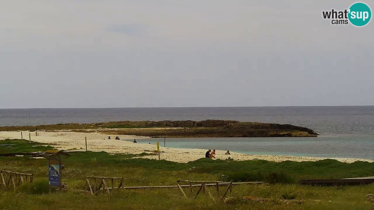 Web kamera Is Arutas plaža | Oristano – Sardinija