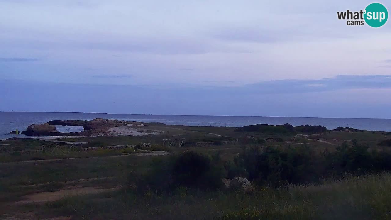 Webcam Is Arutas spiaggia | Oristano – Sardegna