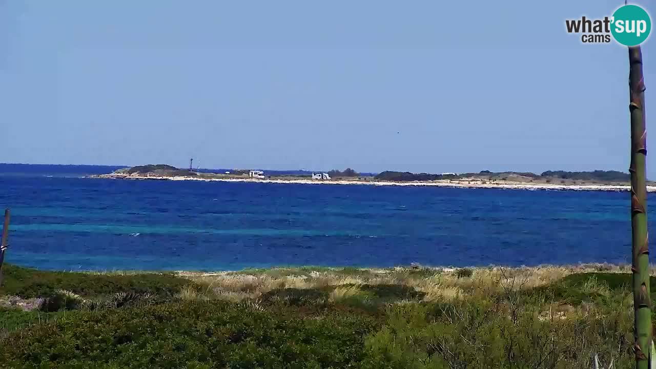 Is Arutas webcam beach | Oristano – Sardinia
