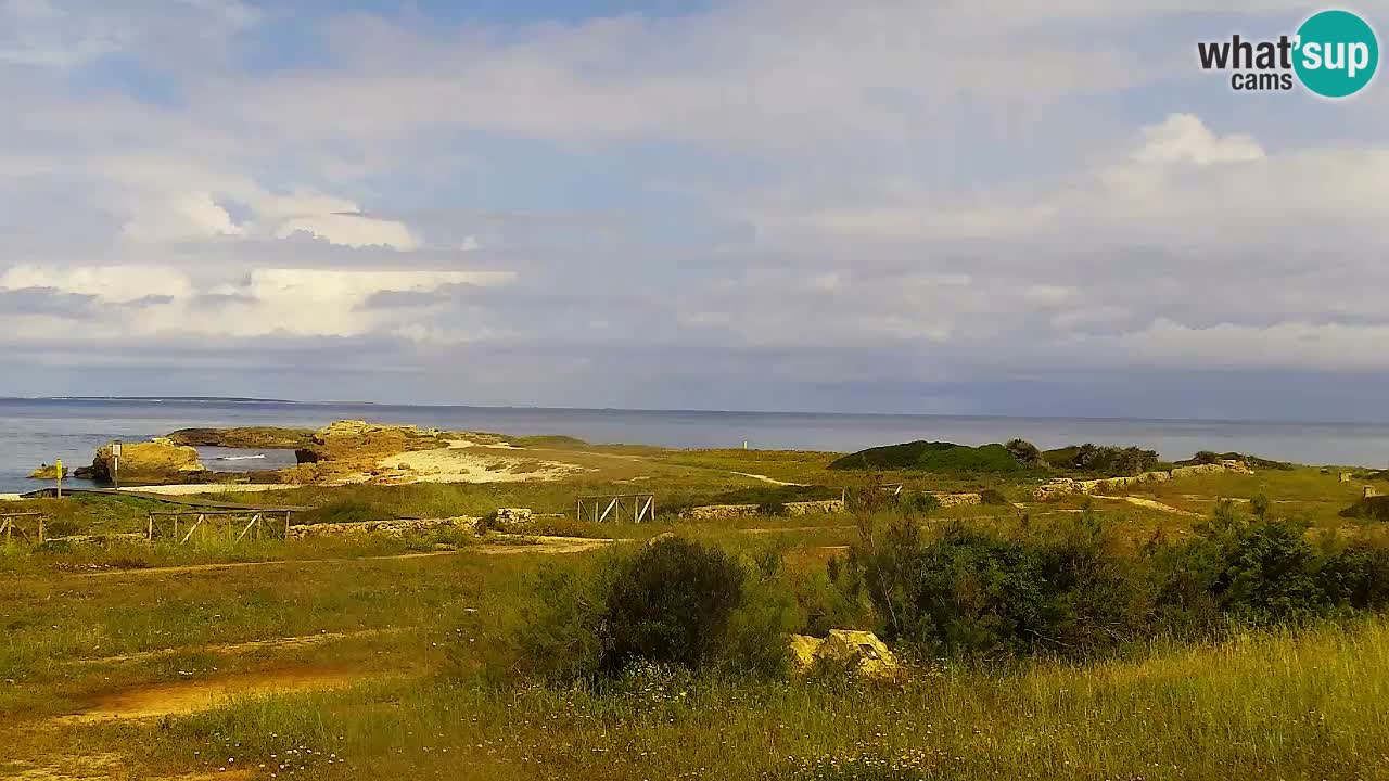 Strand Is Arutas webcam | Oristano – Sardinien