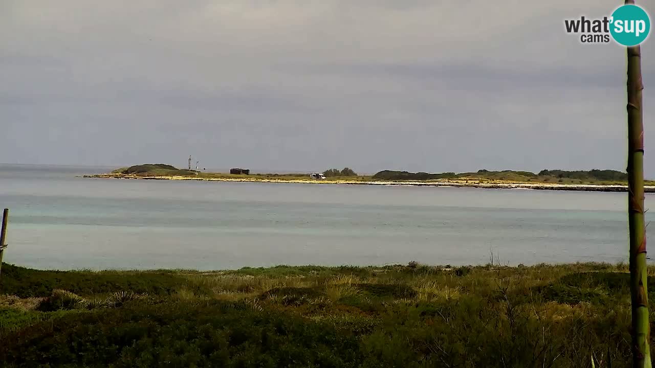 Plaža Is Arutas kamera | Oristano – Sardinija