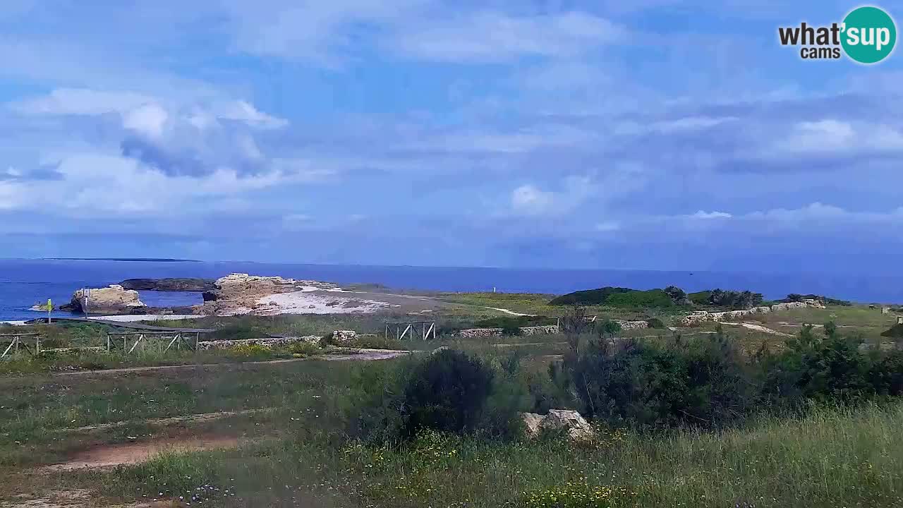 Is Arutas livecam plage | Oristano – Sardaigne