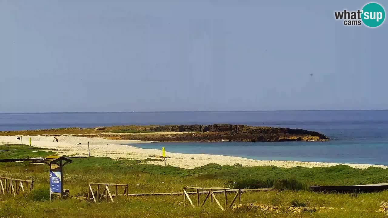Is Arutas webcam beach | Oristano – Sardinia