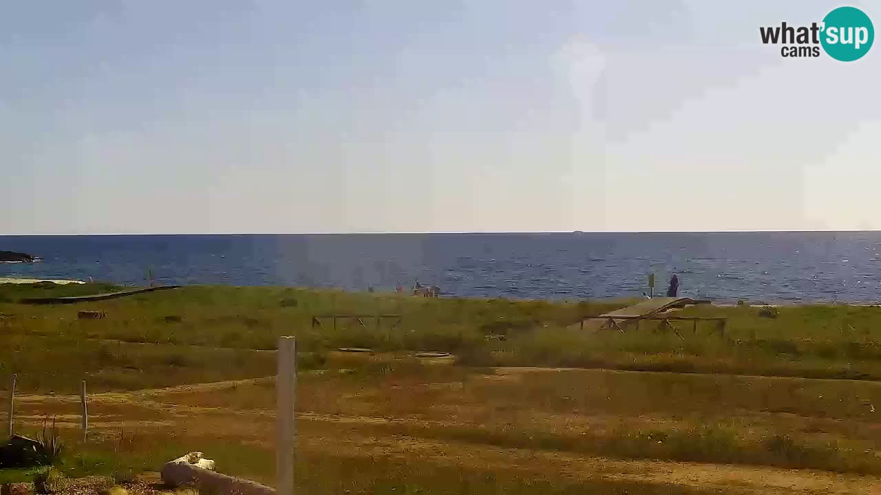 Is Arutas camera en vivo | Oristano – Cerdeña