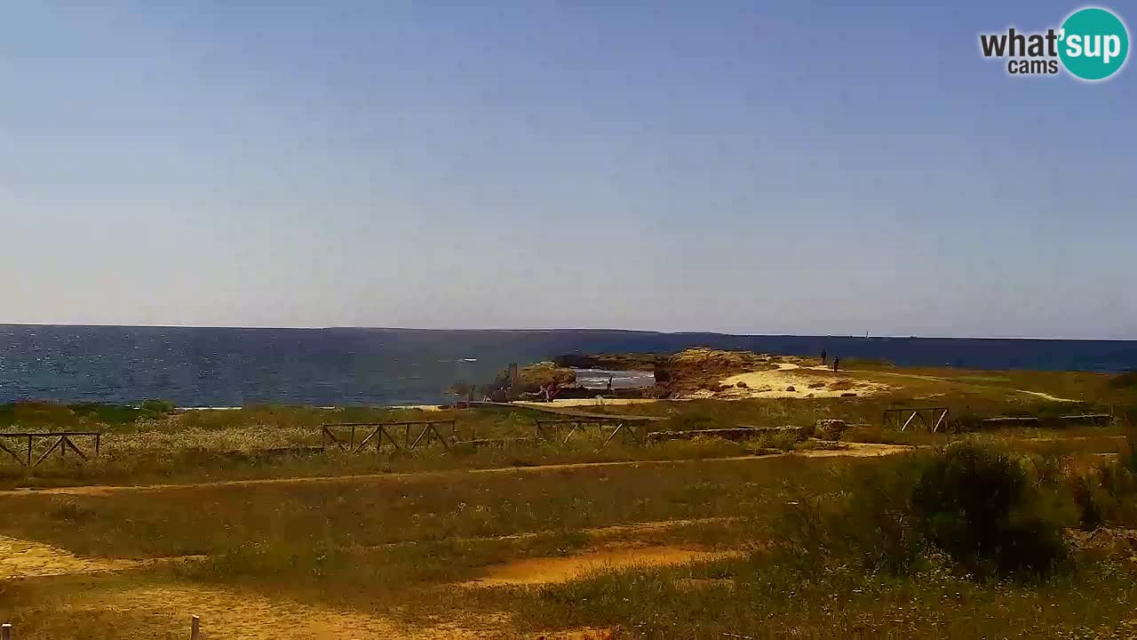 Is Arutas webcam beach | Oristano – Sardinia