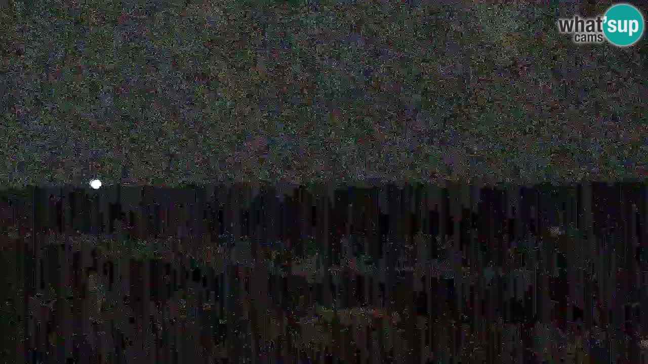 Is Arutas camera en vivo | Oristano – Cerdeña