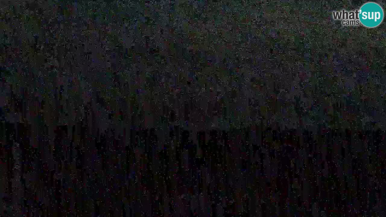 Is Arutas camera en vivo | Oristano – Cerdeña