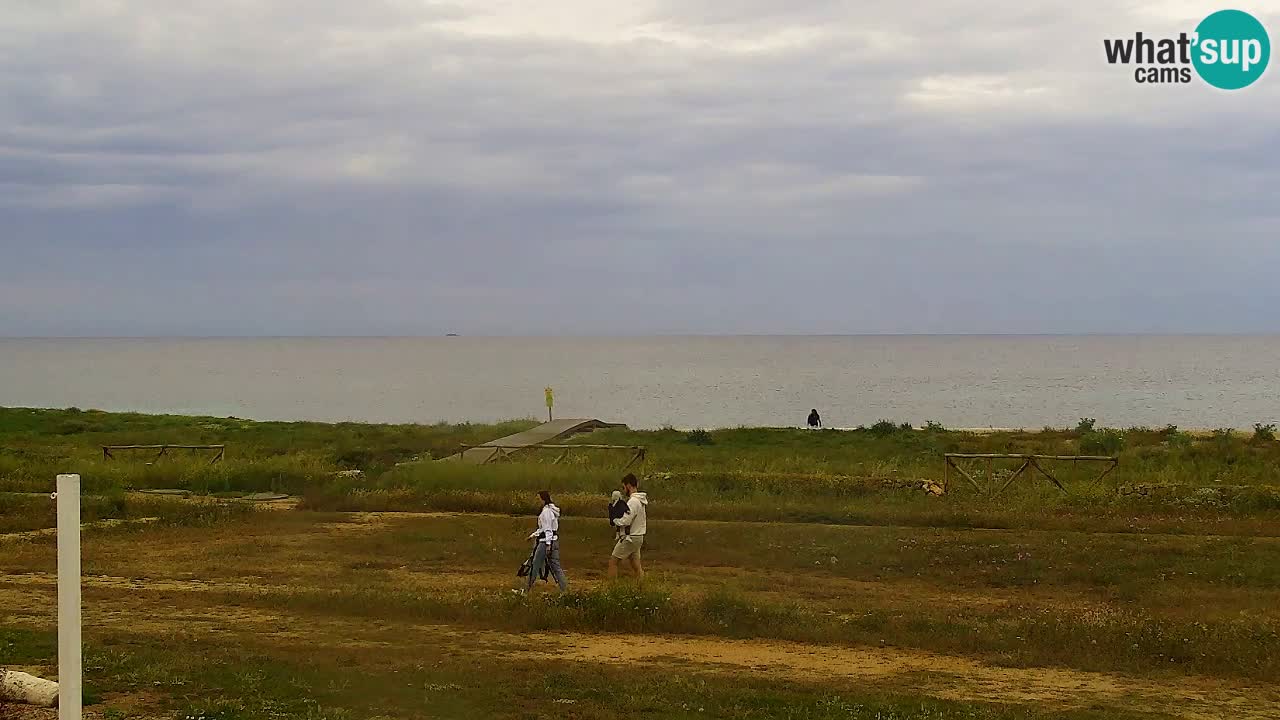 Is Arutas camera en vivo | Oristano – Cerdeña