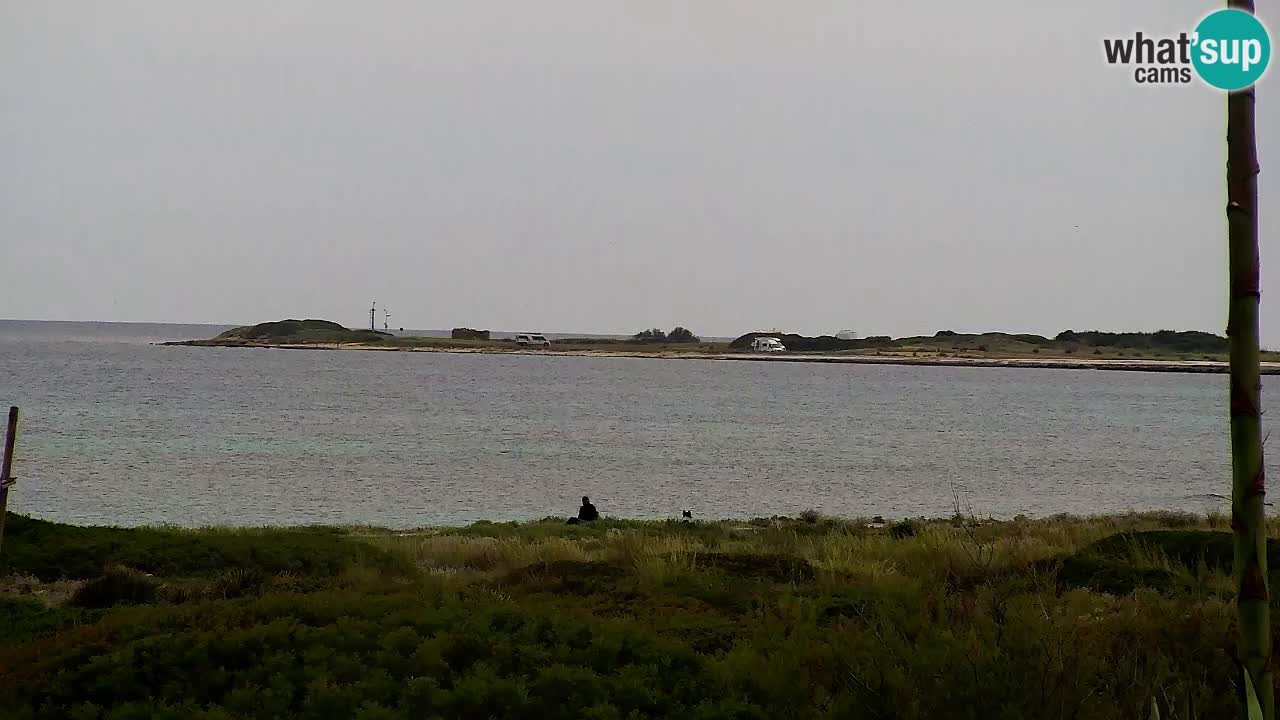 Is Arutas camera en vivo | Oristano – Cerdeña