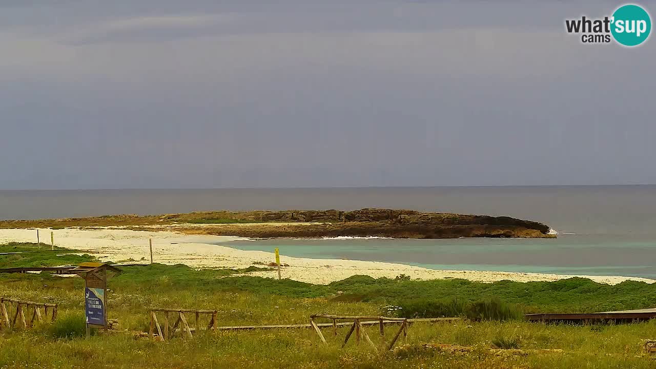 Strand Is Arutas webcam | Oristano – Sardinien