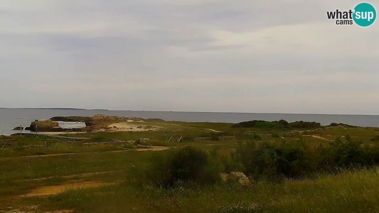 Web kamera Is Arutas plaža | Oristano – Sardinija
