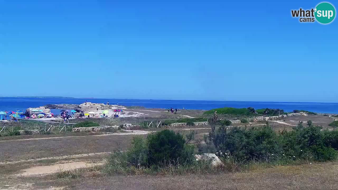 Is Arutas webcam beach | Oristano – Sardinia