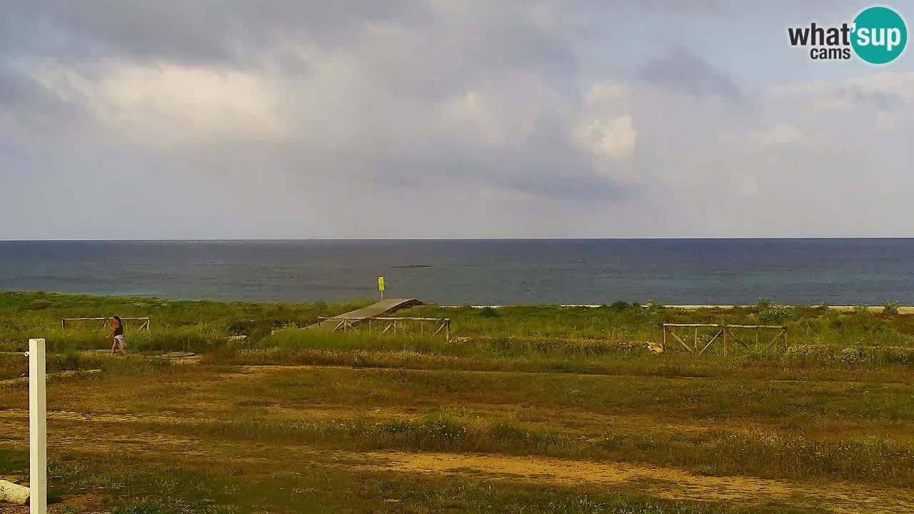 Strand Is Arutas webcam | Oristano – Sardinien
