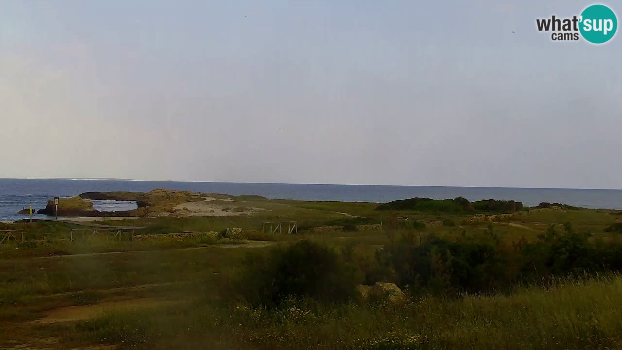 Web kamera Is Arutas plaža | Oristano – Sardinija