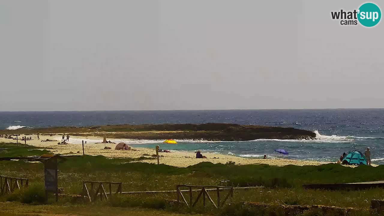 Webcam Is Arutas spiaggia | Oristano – Sardegna