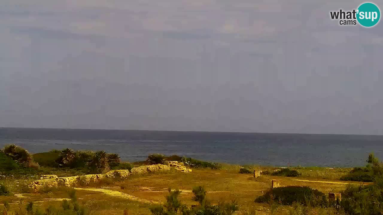 Plaža Is Arutas kamera | Oristano – Sardinija