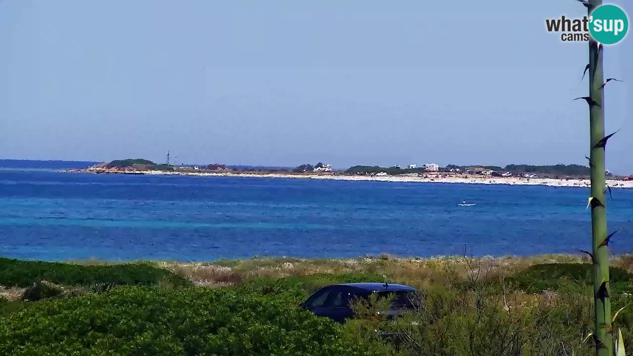 Is Arutas camera en vivo | Oristano – Cerdeña