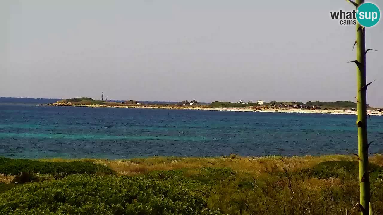 Is Arutas webcam beach | Oristano – Sardinia