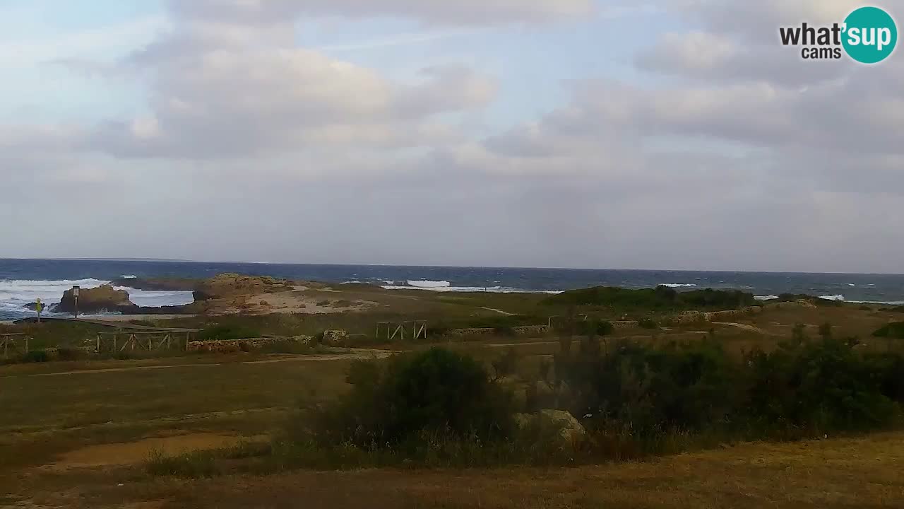 Is Arutas livecam plage | Oristano – Sardaigne