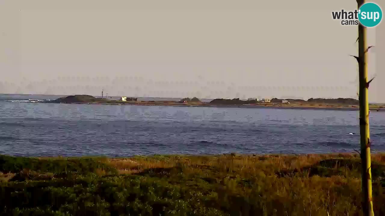 Web kamera Is Arutas plaža | Oristano – Sardinija