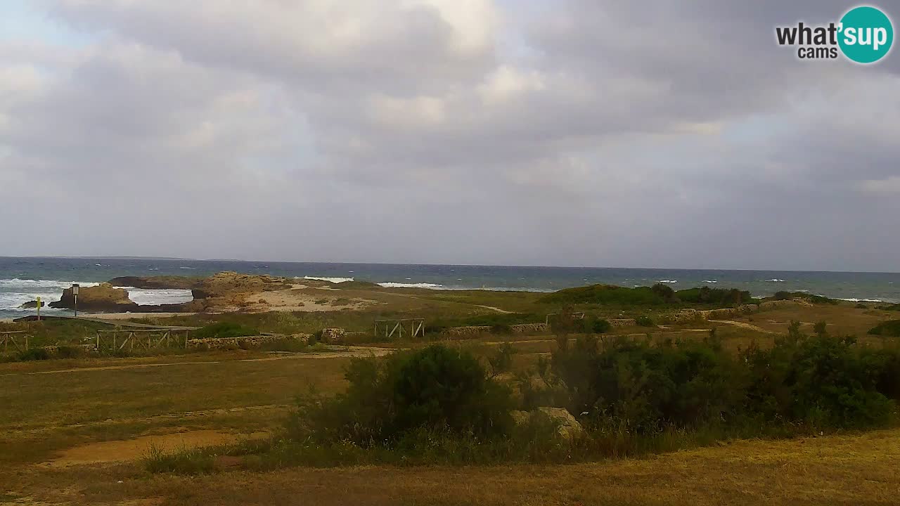 Webcam Is Arutas spiaggia | Oristano – Sardegna