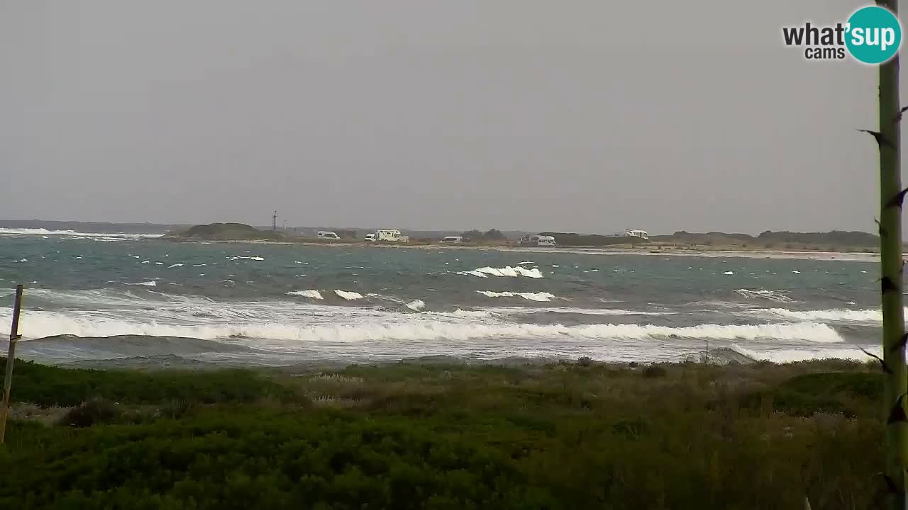 Plaža Is Arutas kamera | Oristano – Sardinija