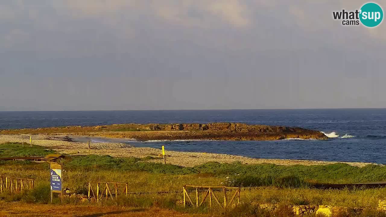 Is Arutas camera en vivo | Oristano – Cerdeña