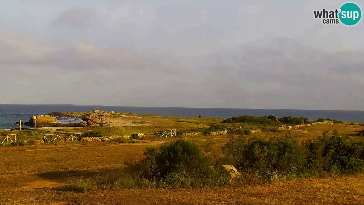 Is Arutas camera en vivo | Oristano – Cerdeña