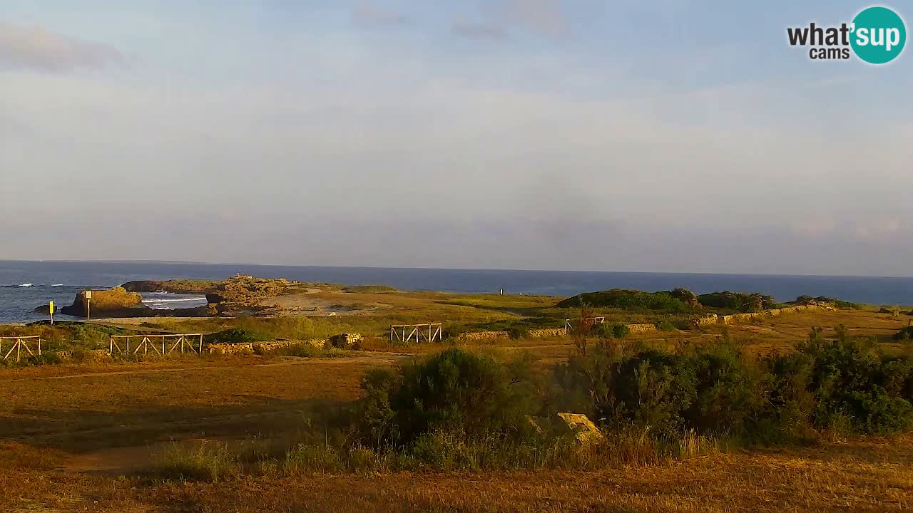 Strand Is Arutas webcam | Oristano – Sardinien