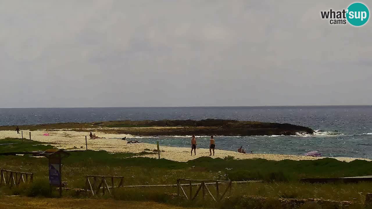 Is Arutas webcam beach | Oristano – Sardinia