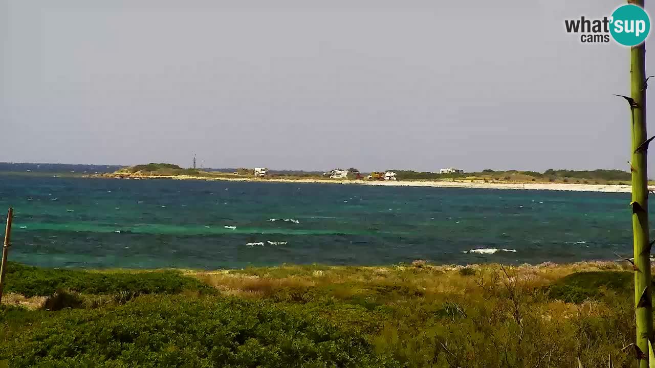 Is Arutas webcam beach | Oristano – Sardinia