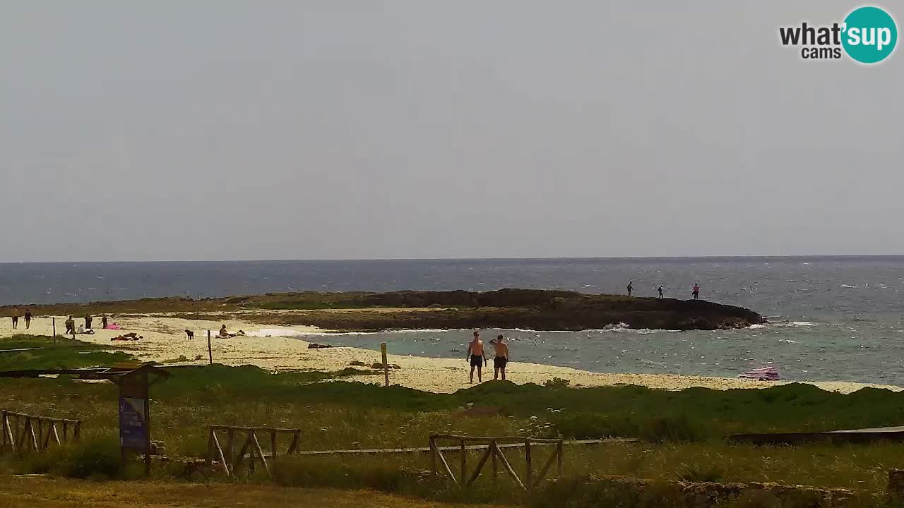 Is Arutas webcam beach | Oristano – Sardinia