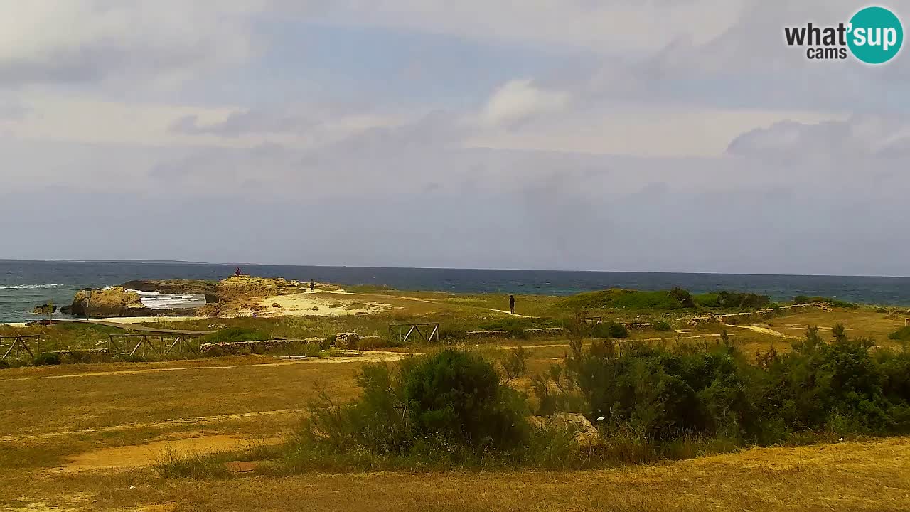 Is Arutas camera en vivo | Oristano – Cerdeña