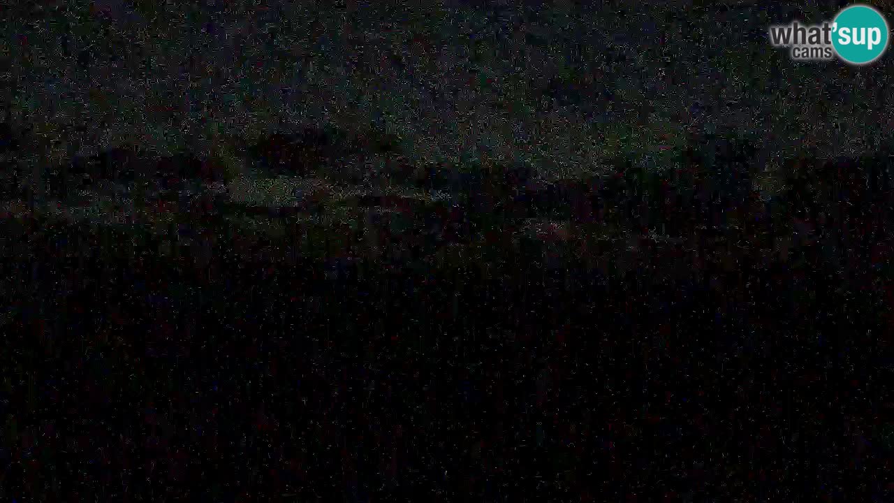 Is Arutas camera en vivo | Oristano – Cerdeña