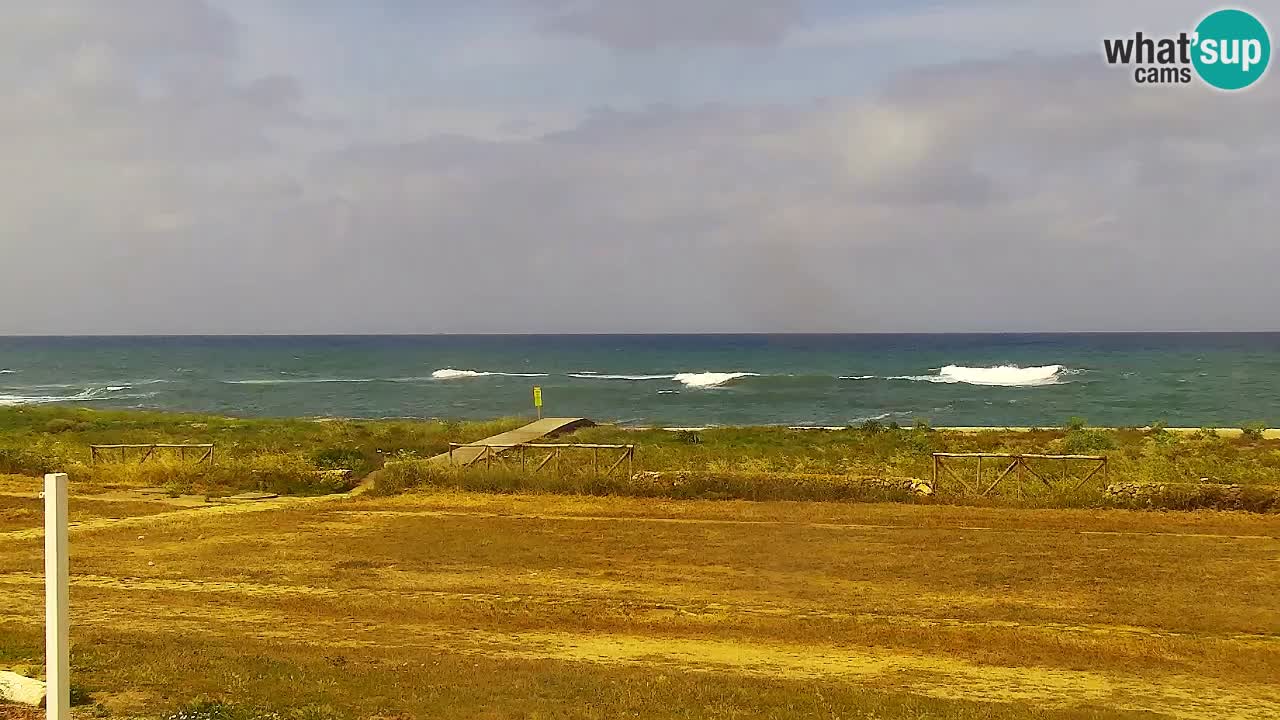 Strand Is Arutas webcam | Oristano – Sardinien