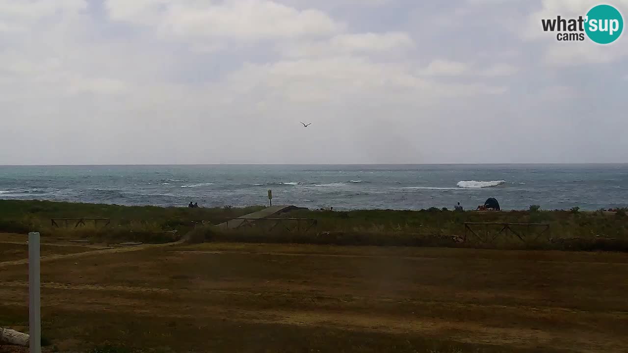 Webcam Is Arutas spiaggia | Oristano – Sardegna