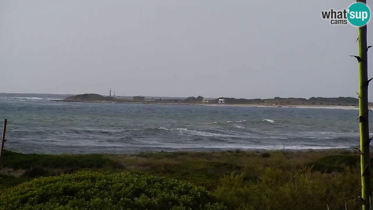 Web kamera Is Arutas plaža | Oristano – Sardinija