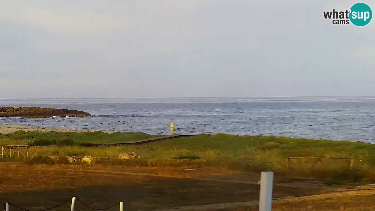 Webcam Is Arutas spiaggia | Oristano – Sardegna