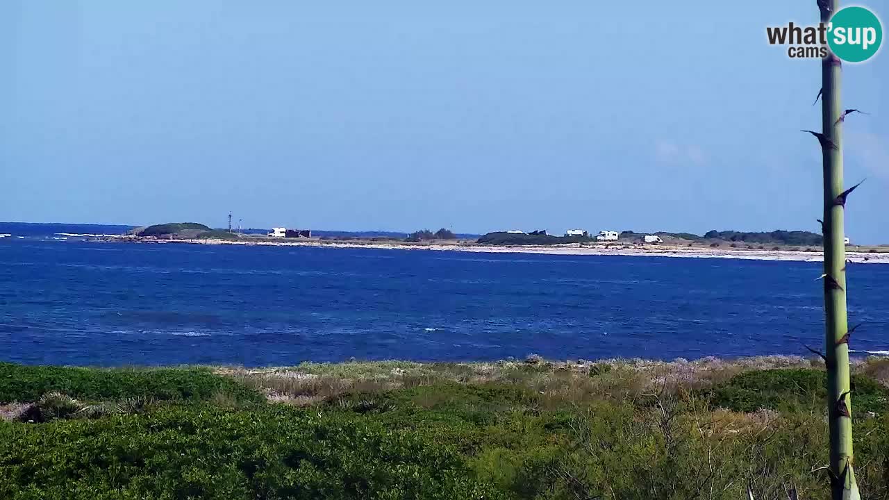 Plaža Is Arutas kamera | Oristano – Sardinija