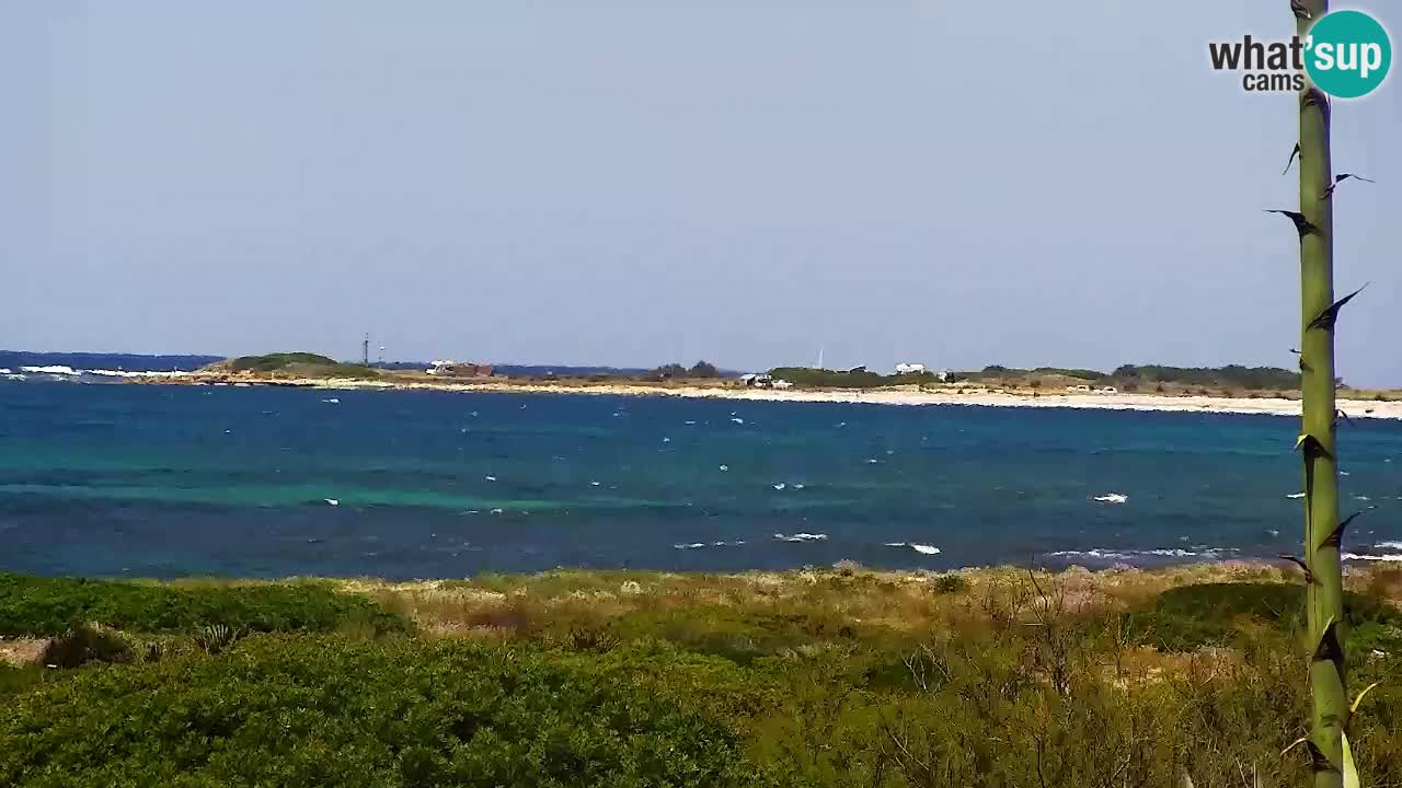 Is Arutas camera en vivo | Oristano – Cerdeña