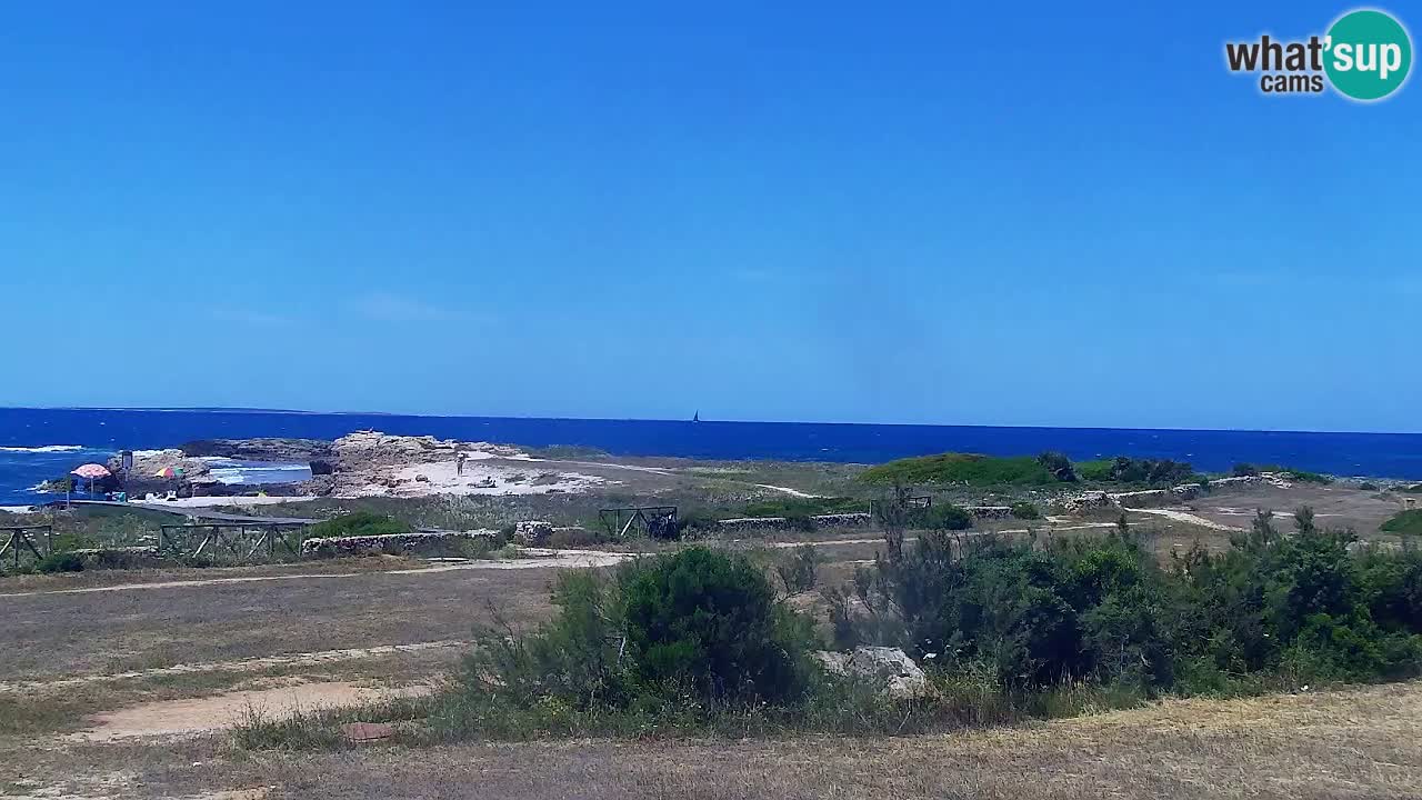 Is Arutas webcam beach | Oristano – Sardinia