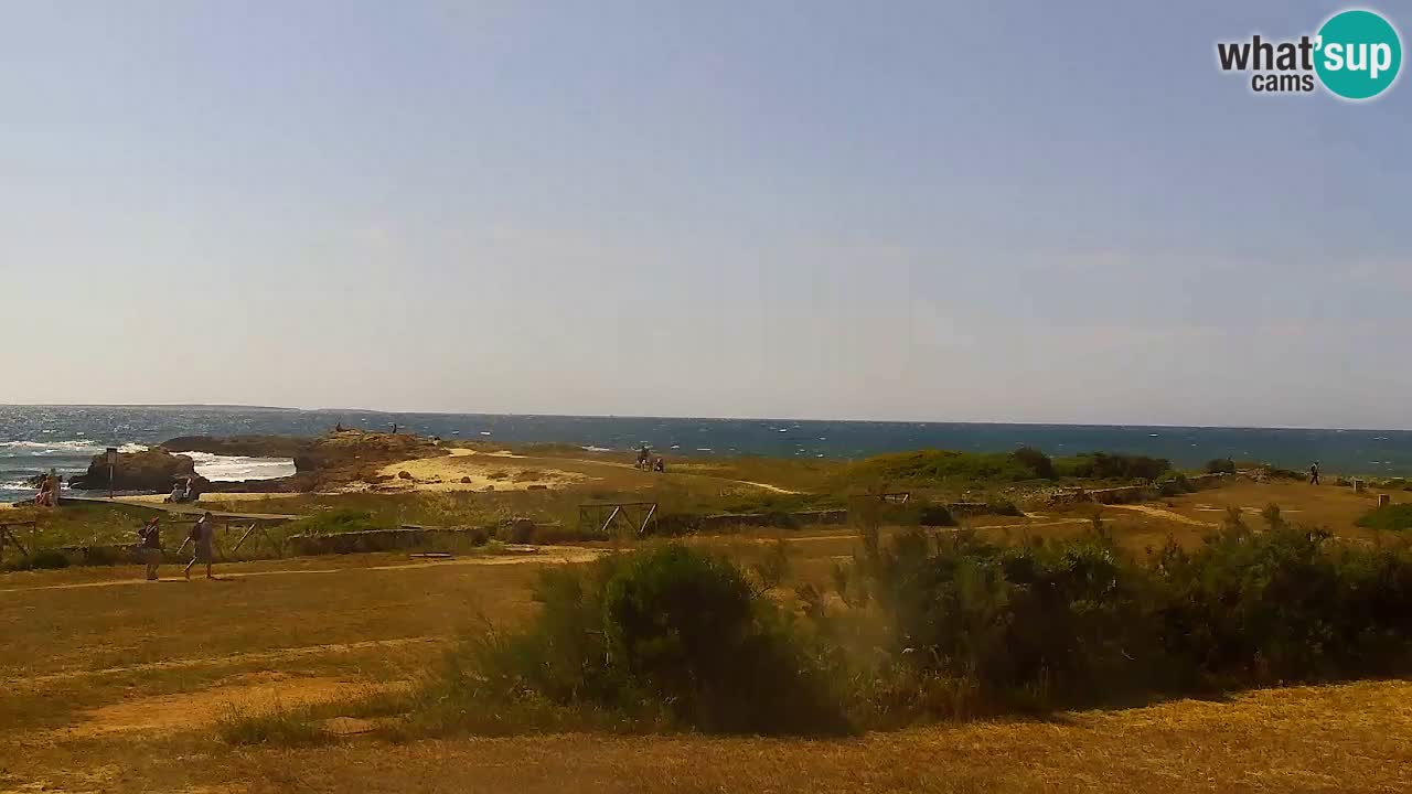 Is Arutas camera en vivo | Oristano – Cerdeña