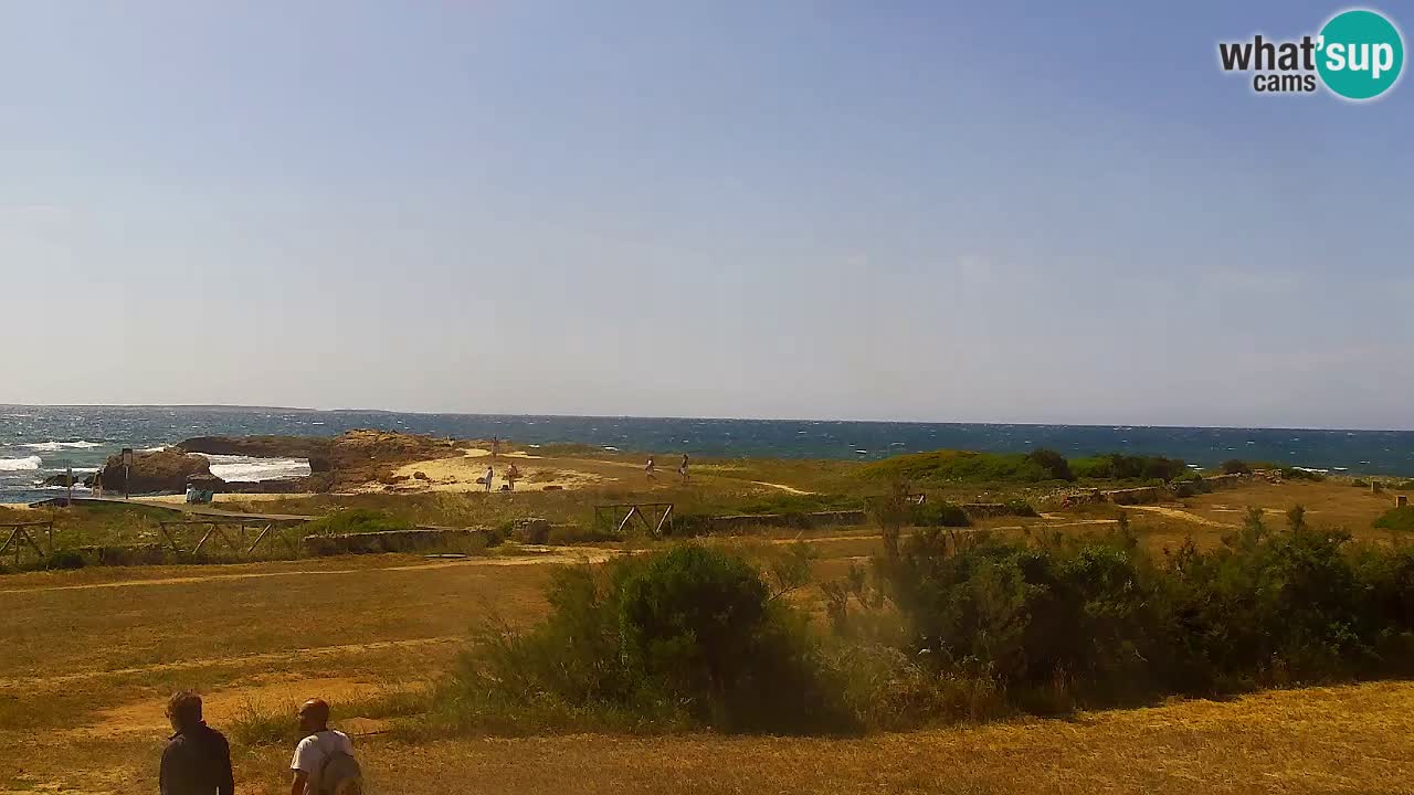 Is Arutas camera en vivo | Oristano – Cerdeña