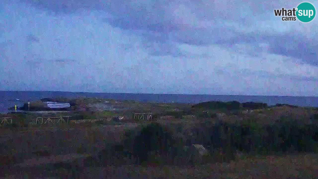 Is Arutas camera en vivo | Oristano – Cerdeña