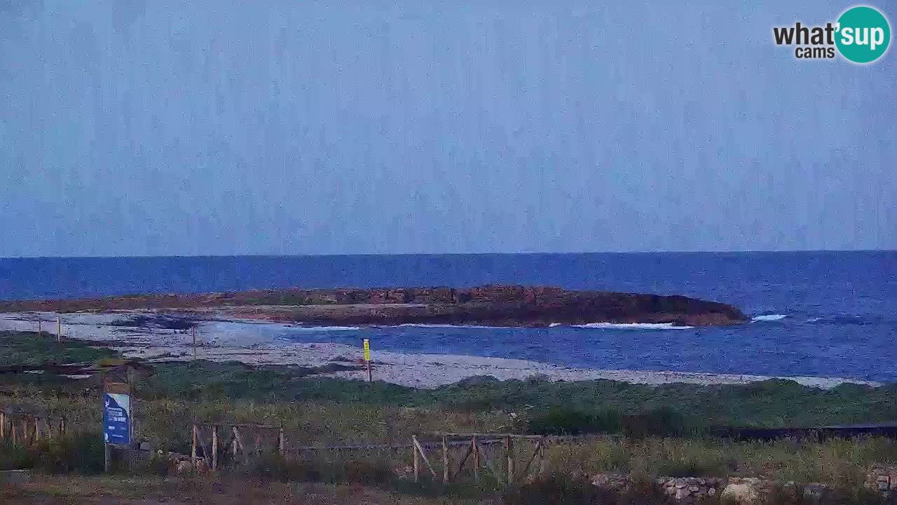 Is Arutas camera en vivo | Oristano – Cerdeña